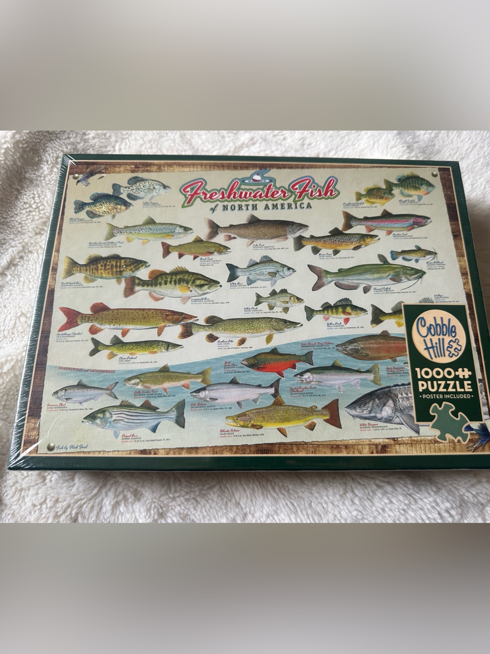 Freshwater Fish Puzzle - Green